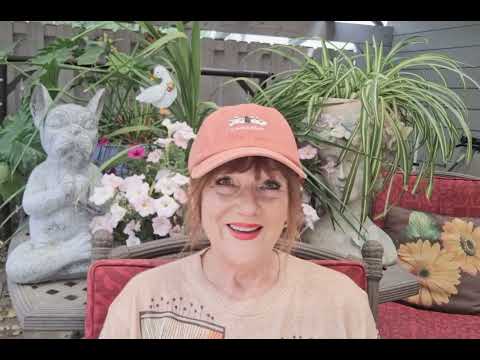 Psychic Medium Delaware