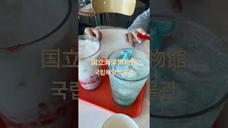 釜山にある国立海洋博物館(無料)に久々行ったらなかなか良かった!カフェは景色最高〜帰りにチョッパル食べた
