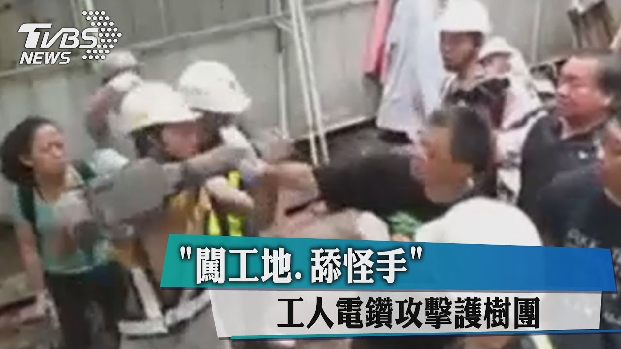 遭「闖工地、舔怪手」 工人電鑽攻擊護樹團