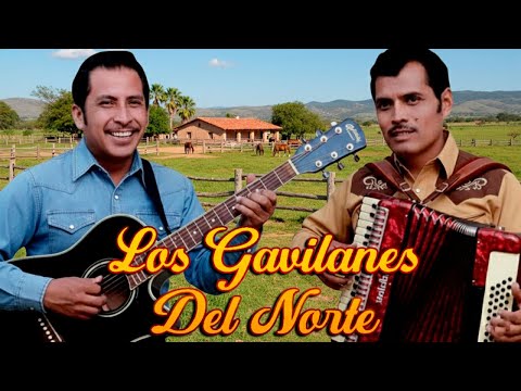 🪗 Los Gavilanes del Norte – Puro Éxito Viejo Norteño 🇲🇽 Clásicos que Nunca Mueren