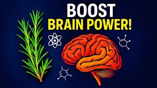 The Mind-Blowing Benefits of Rosemary for Brain Health