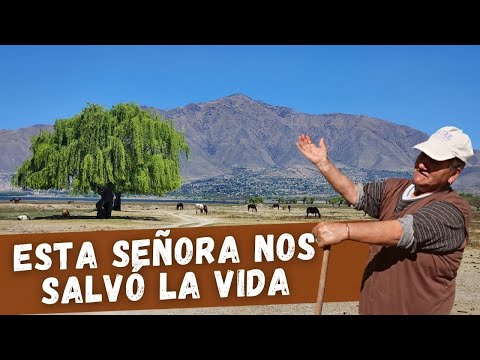 NOS PERDIMOS en TAFÍ DEL VALLE | Caminando hasta El Mollar - Tucumán