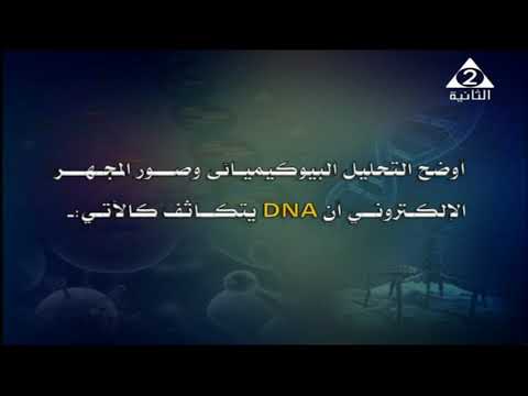 أحياء 3 ثانوي ( DNA في أوليات النواة و حقيقيات النواة / الطفرات ) أ عصام حنفي 30-04-2019