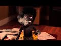 Ooga Booga 2013 Pelicula Completa Subtitulada Al Español