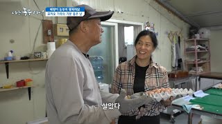 [베짱이 농부의 행복하닭] 꼬끼오 가족의 기분 좋은 날