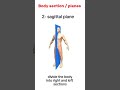 Anatomical planes/sections of the body#education #antony