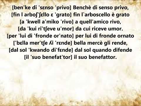 12 VACCAI LOWER VOICE