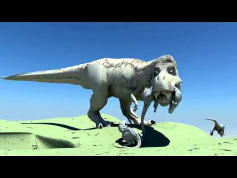 Trex HD