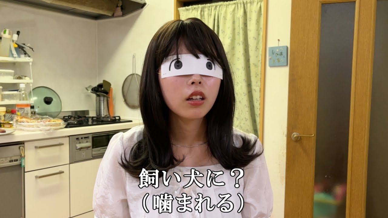 【2024年版】妹にことわざクイズを出してみた