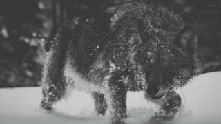 Ben Frost - Killshot