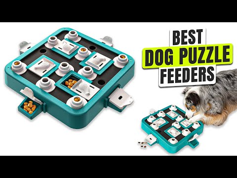 3 BEST Dog Puzzle Feeder 2025 - Don’t Let Boredom Win!