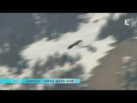 ZAP Leisure for the weekend of March 21 to 23, 2014