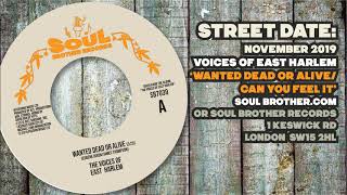 Voices Of east Harlem - Wanted Dead Or Alive/Can You Feel It