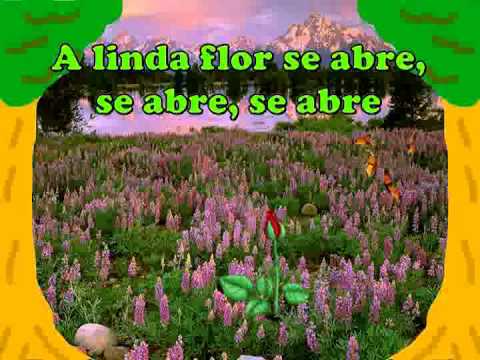 A Pequenina Luz - DVD Infantil