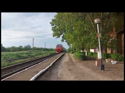 Trenuri pe M600. Stația Frunzeasca