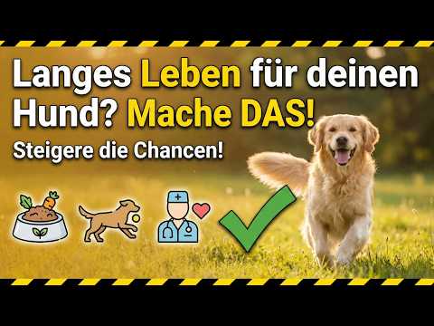 Extend your dog's life with THESE simple tricks! 🔥
