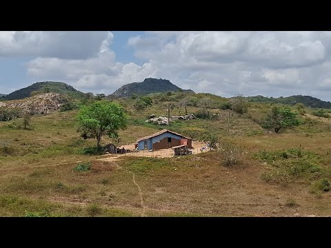 Mostrando uma casinha de taipa cheia de vida e sossego no interior Paraibano 
