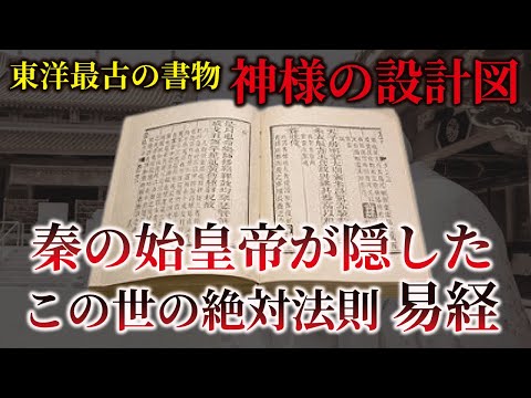 タゾタについて詳しく解説