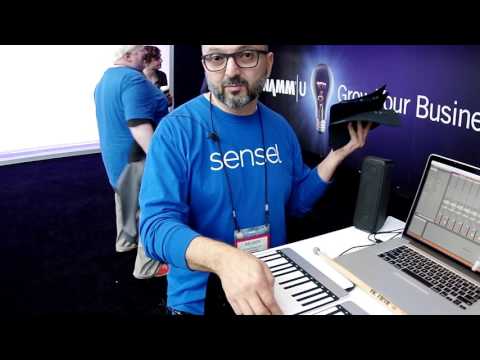 The Sensel Morph Can Be Any Type Of Controller That You Want