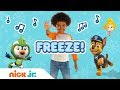 Freeze Dance Along W PAW Patrol Bubble Guppies Top Wing Stay Home WithMe Nick Jr