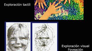 Sistemas motores (Parte 1)