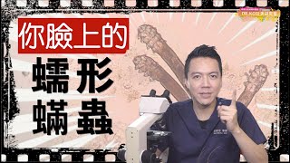 [問題] 要墊什麼才能取代我枕頭下的巧拼地毯？