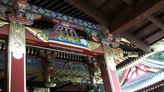 preview picture of video 'Toshogu Shrine Part 1'