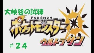 ＃２４　命それは最も大切なもの　ポケモン　ウルトラサン