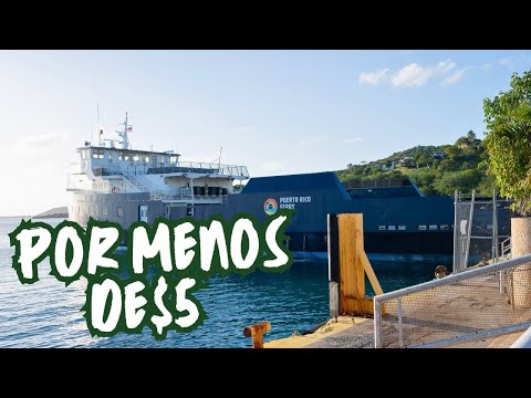 ¿VALE LA PENA ir a Culebra en Ferry? Todo lo que debes saber 🇵🇷