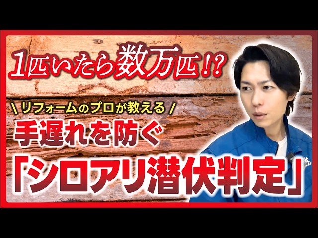 気づいた時には手遅れ…シロアリ初期症状、見抜けますか？