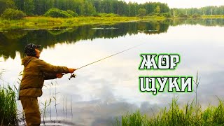 Ловля щуки в августе на урале
