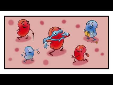 download lagu mp3 mp4 Munuaissairaudet, download mp3 Munuaissairaudet free download, download mp3 Munuaissairaudet