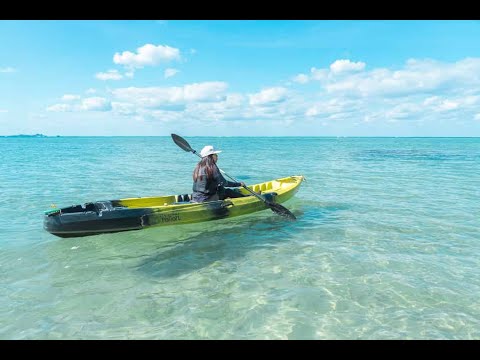 動画2