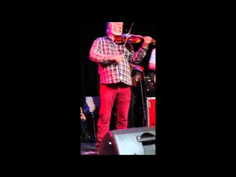 In Continental Mood - The Old Queen - Flatworld by Blowzabella