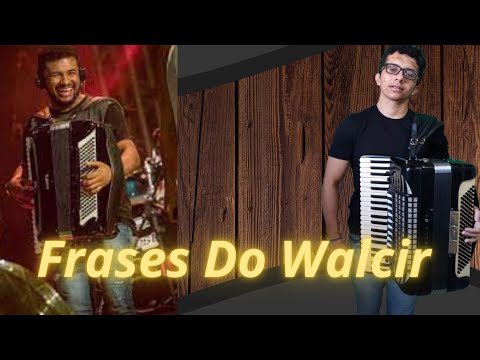 Incríveis  improvisos na sanfona- Forró Tarcisio do Acordeon -João Gomes-Wesley Safadão- Xandy Avião