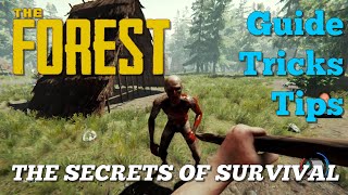 The Forest: Three Day Beginner's Guide / Tricks / Tips (No Spoilers)
