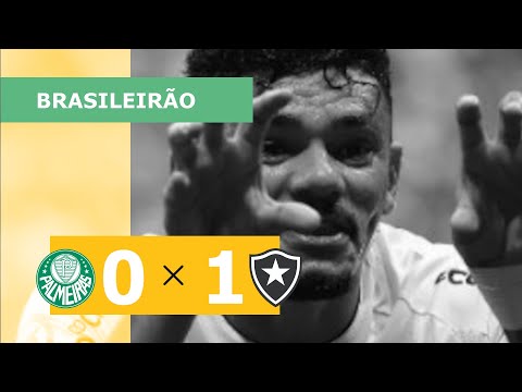PALMEIRAS 0 x 1 BOTAFOGO - CAMPEONATO BRASILEIRO 2023; VEJA O GOL