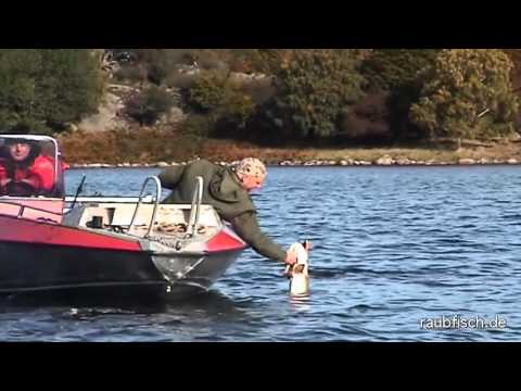 Matze Koch - Deleted Scene - Träume und Vorbilder