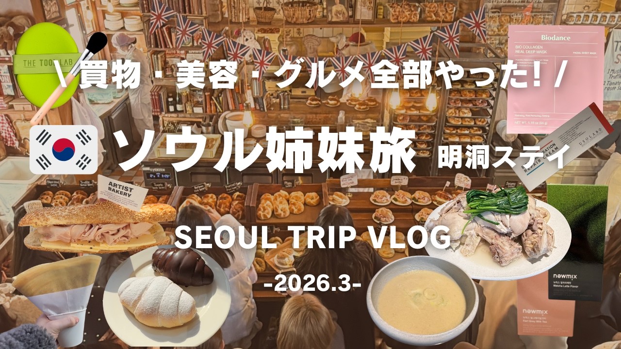 sub【韓国旅行Vlog】最新スポットから定番まで全部行く ソウル姉妹旅 後編2日間 (明洞/聖水/東大門/南大門/安国)