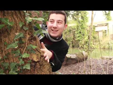 Daniel Thorn | Parody Showreel