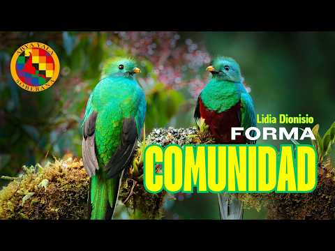 Transformando personas y restaurando territorios 