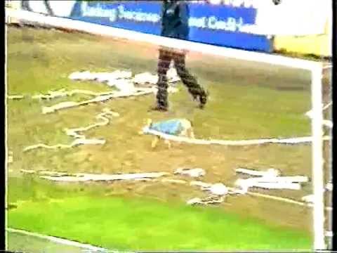 The Pig and the Cockerel