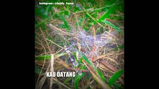 Download lagu Story wa 30 detik cinta terlarang mp3