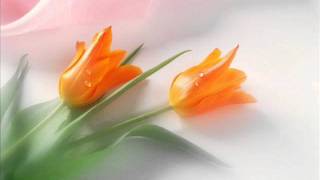 John Denver - Autograph (Lyrics)