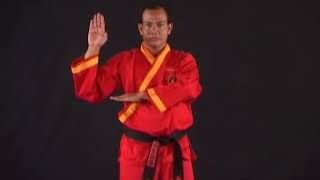 Download lagu JURUS IKAN TERBANG TAPAK SUCI mp3 Download lagu JURUS IKAN TERBANG TAPAK SUCI mp3