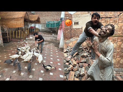 Mini Zoo Toot Gea 😢 Subhan Ki Waja Sy Noksan Ho Gea 😡