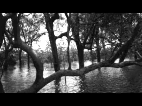 Enno Velthuys - Swamp