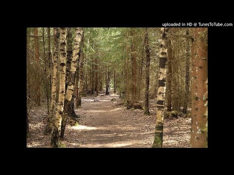 (FREE FOR PROFIT) sad guitar loop 'overwhelmed ' / free loop / sample! 149 bpm A# major