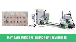 Máy đánh mộng âm-dương 2 đầu WM-D200-FR