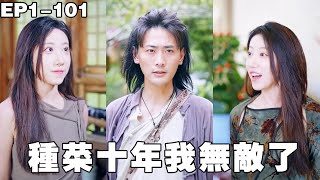 小伙以為自己是個普通人，拿著六封婚書下山退婚，沒想到六個未婚妻都看出小夥與眾不同，搶著要嫁給他，小夥沒辦法，只能都娶了！【种菜十年我无敌了】#240828zc